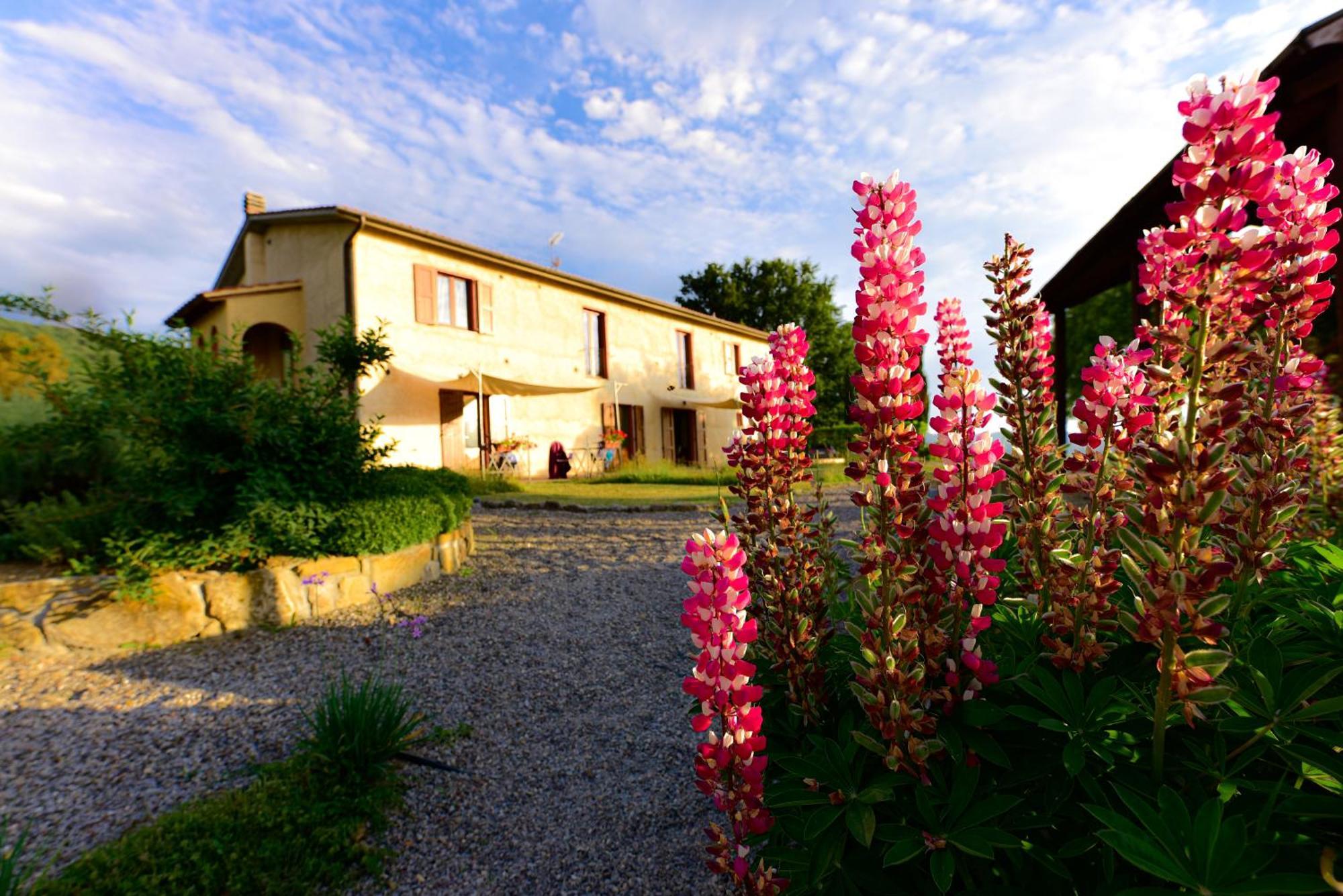Agriturismo Le Casaline Седжано Экстерьер фото