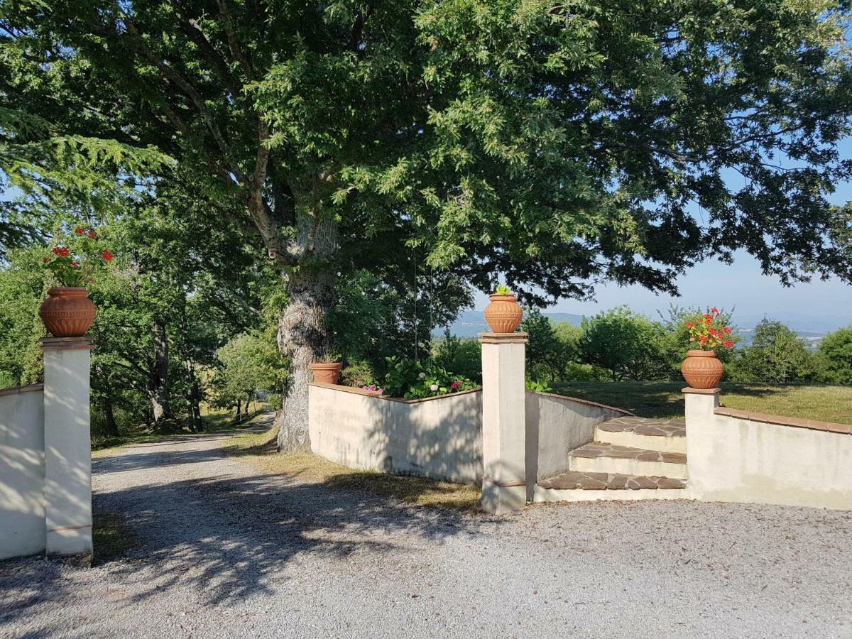 Agriturismo Le Casaline Седжано Экстерьер фото