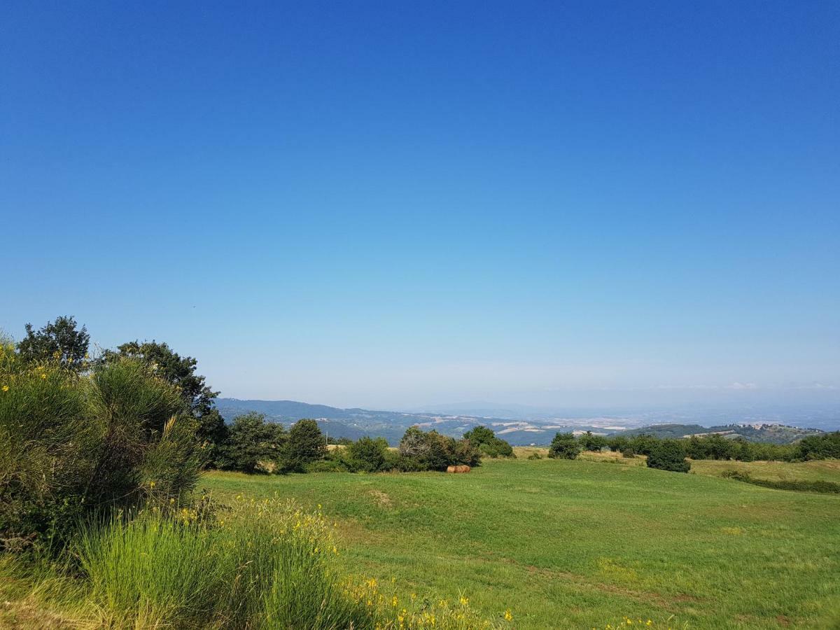 Agriturismo Le Casaline Седжано Экстерьер фото